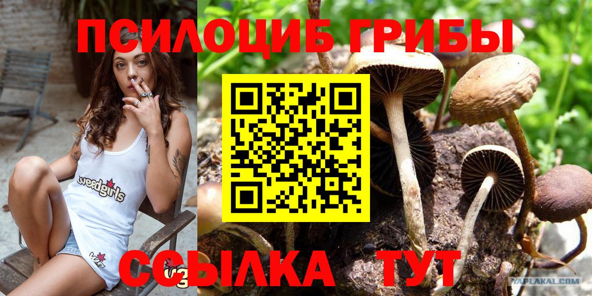 Псилоцибиновые грибы Cubensis Крымск