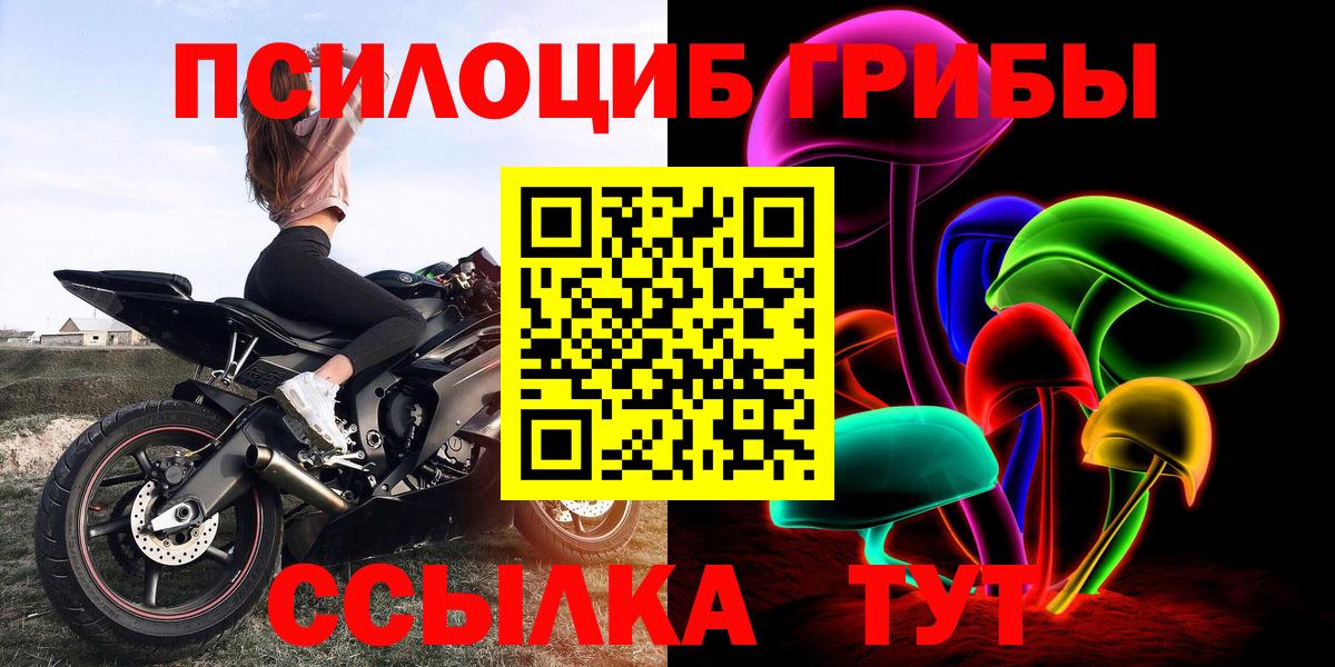 Псилоцибиновые грибы Psilocybe  Вход с VPN  Крымск  Псилоцибиновые грибы мухоморы 